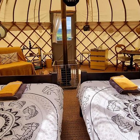 Hotel Bronfelen Yurt Cynghordy Exterior foto