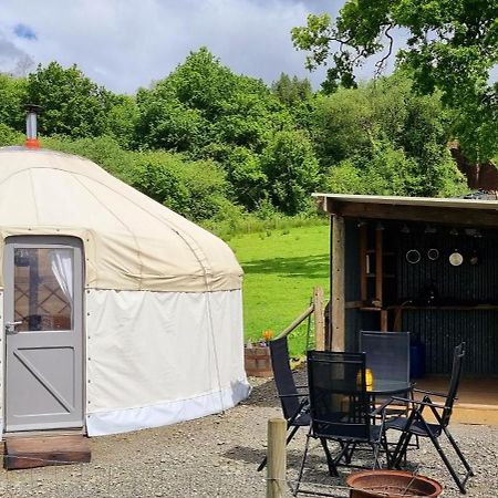 Hotel Bronfelen Yurt Cynghordy Exterior foto