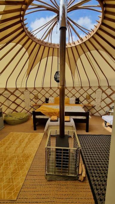 Hotel Bronfelen Yurt Cynghordy Exterior foto