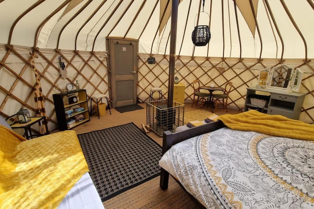 Hotel Bronfelen Yurt Cynghordy Exterior foto