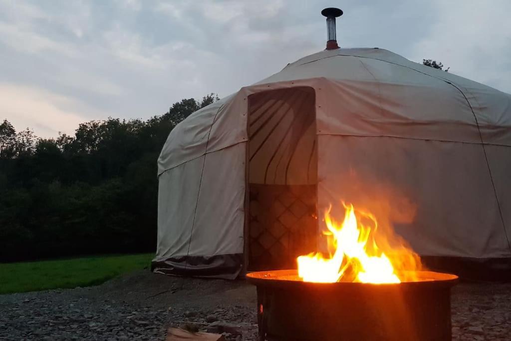 Hotel Bronfelen Yurt Cynghordy Exterior foto