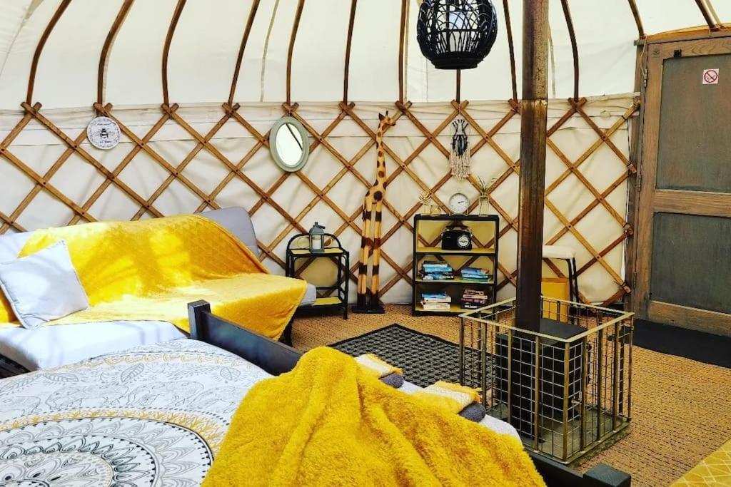 Hotel Bronfelen Yurt Cynghordy Exterior foto