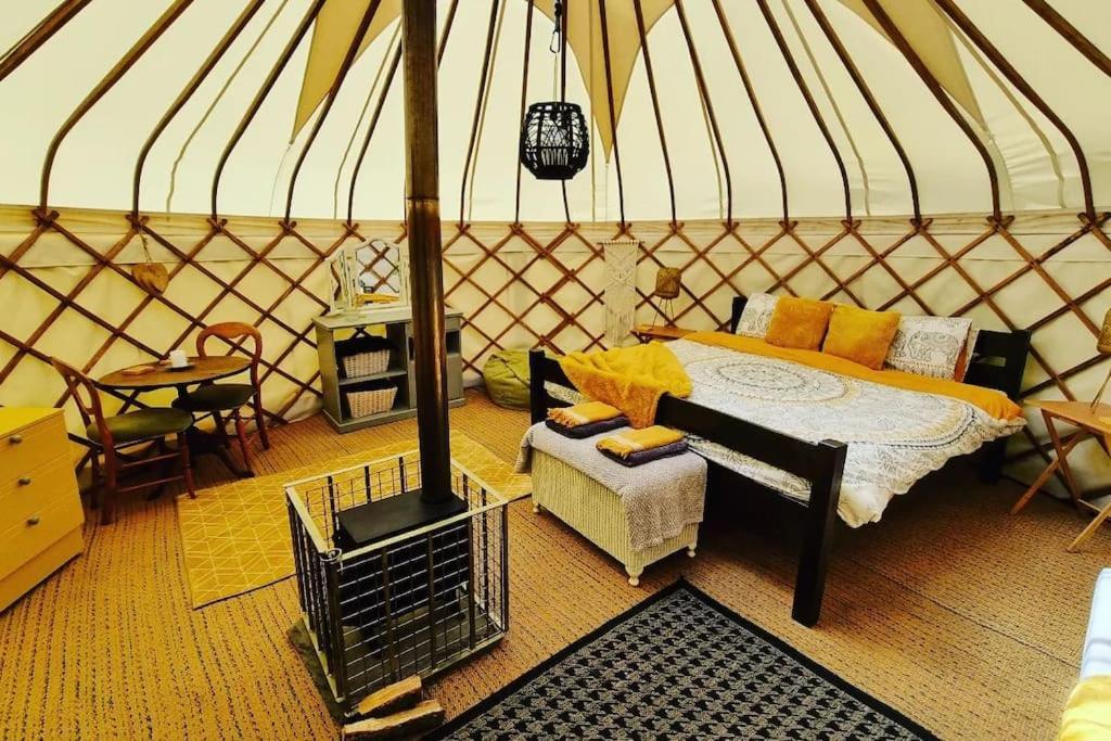 Hotel Bronfelen Yurt Cynghordy Exterior foto
