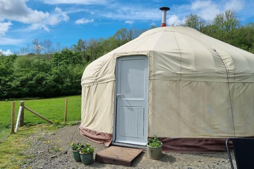 Hotel Bronfelen Yurt Cynghordy Exterior foto
