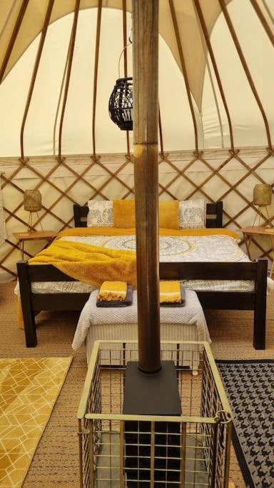 Hotel Bronfelen Yurt Cynghordy Exterior foto