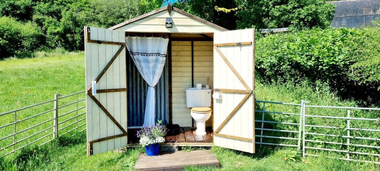Hotel Bronfelen Yurt Cynghordy Exterior foto