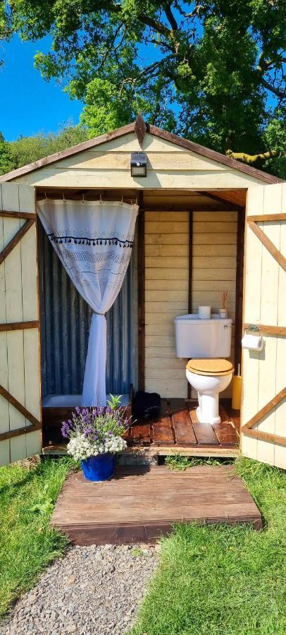 Hotel Bronfelen Yurt Cynghordy Exterior foto